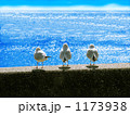 カモメ海を見つめる