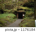 1176184