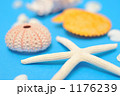 夏の波打ち際イメージにいかが？