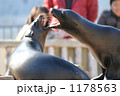 1178563