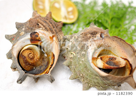 「サザエのつぼ焼き。」の写真素材 「サザエのつぼ焼き。」の写真素材
