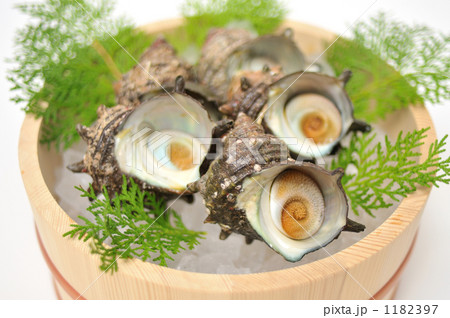 「春の食材と言えばサザエ。」の写真素材