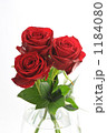 RED ROSE