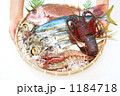海鮮盛り合わせ