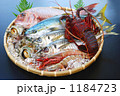 海鮮盛り合わせ