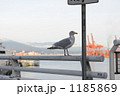 1185869