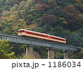 松ぼうき鉄橋を渡る「みまさかスローライフ列車」