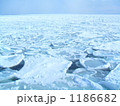 網走能取沖の流氷