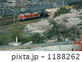 1188262