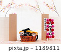 フェレットの入学式