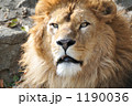 素材ナンバー 1190036 : 「無題」