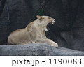 1190083