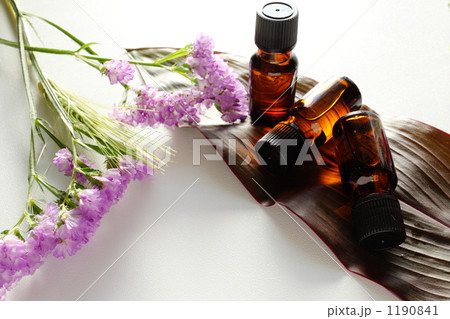 「Aroma」の写真素材