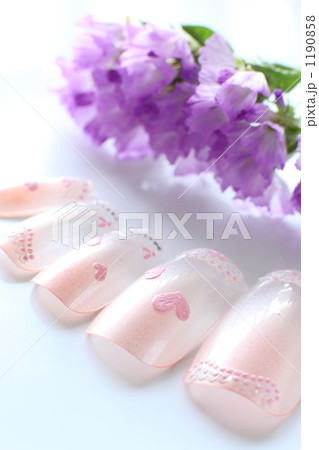 「Ｎａｉｌ in Pink」の写真素材
