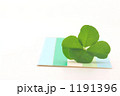 白詰め草とパステルカラー