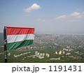 1191431