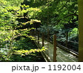 高尾　吊り橋