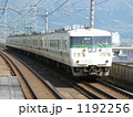 117系