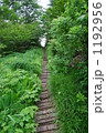 夏草生い茂る登山道