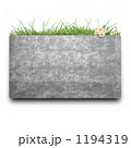 1194319