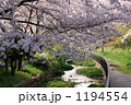 桜屋根の遊歩道