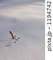 素材ナンバー 1194742 : 「無題」