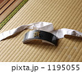 1195055