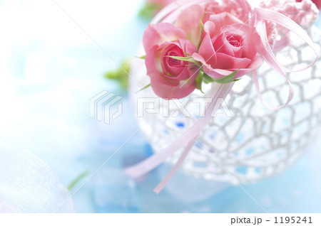 「小さな薔薇」の写真素材 「小さな薔薇」の写真素材