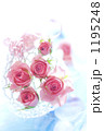 小さな薔薇