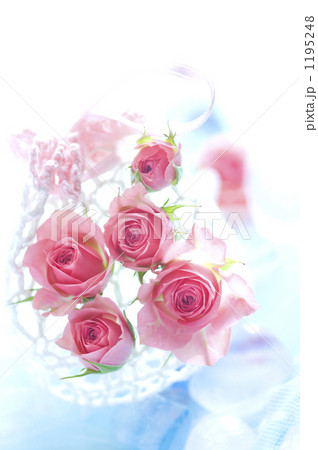 小さな薔薇 小さな薔薇