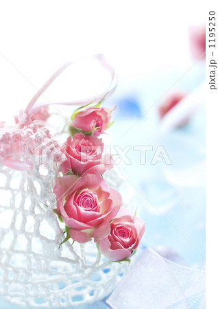「小さな薔薇」の写真素材 「小さな薔薇」の写真素材