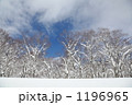 氷雪