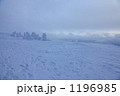 樹氷