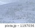 雪山　トレッキング