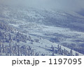 冬の八甲田　毛無岱