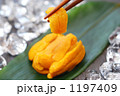 うに