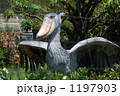 ハシビロコウ
