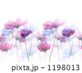 Pastel Garden. Pastel Garden.