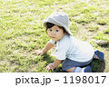 1198017
