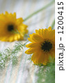 1200415