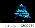 大阪城　ブルーライト照明の夜景　その１