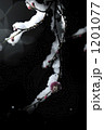 1201077