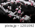 1201092
