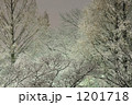 雪夜景