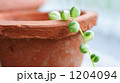1204094