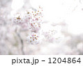 1204864