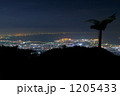 1205433