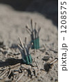 1208575