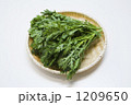 春菊