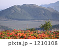 八島湿原